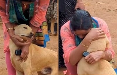 வயநாடு நிலச்சரிவு: உரிமையாளரைக் கண்டறிந்த வளர்ப்பு நாய்!